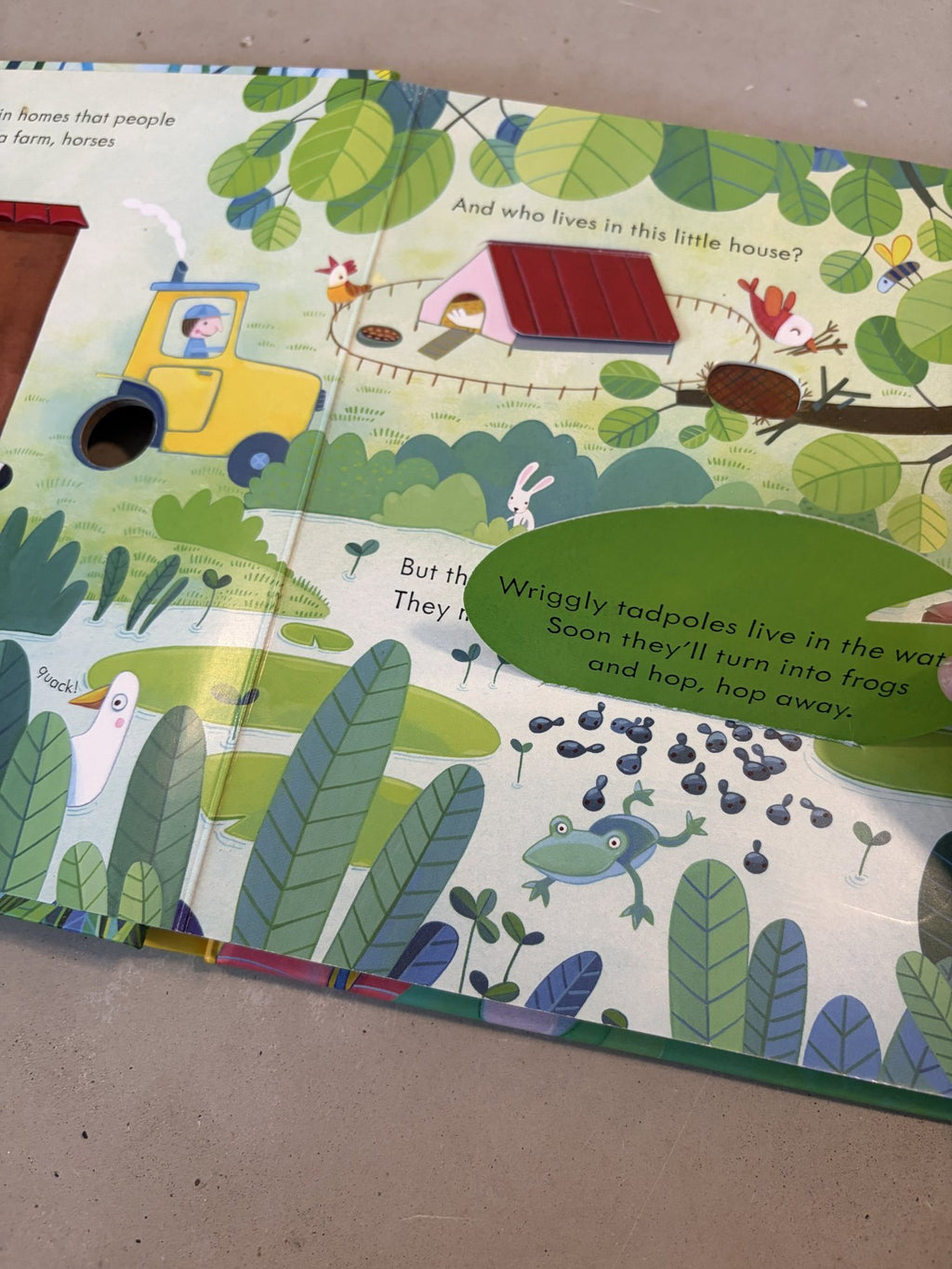 Usborne peep inside animal homes