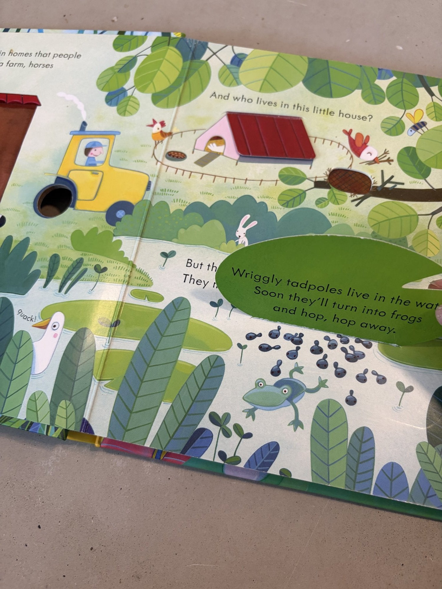 Usborne peep inside animal homes