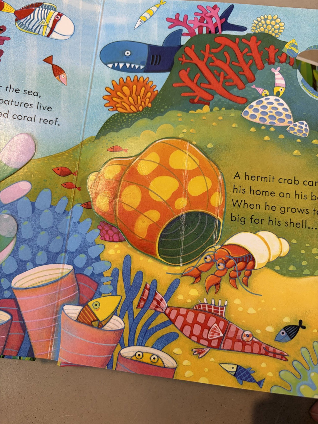 Usborne peep inside animal homes