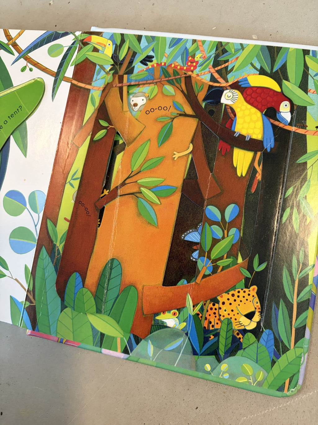 Usborne peep inside animal homes