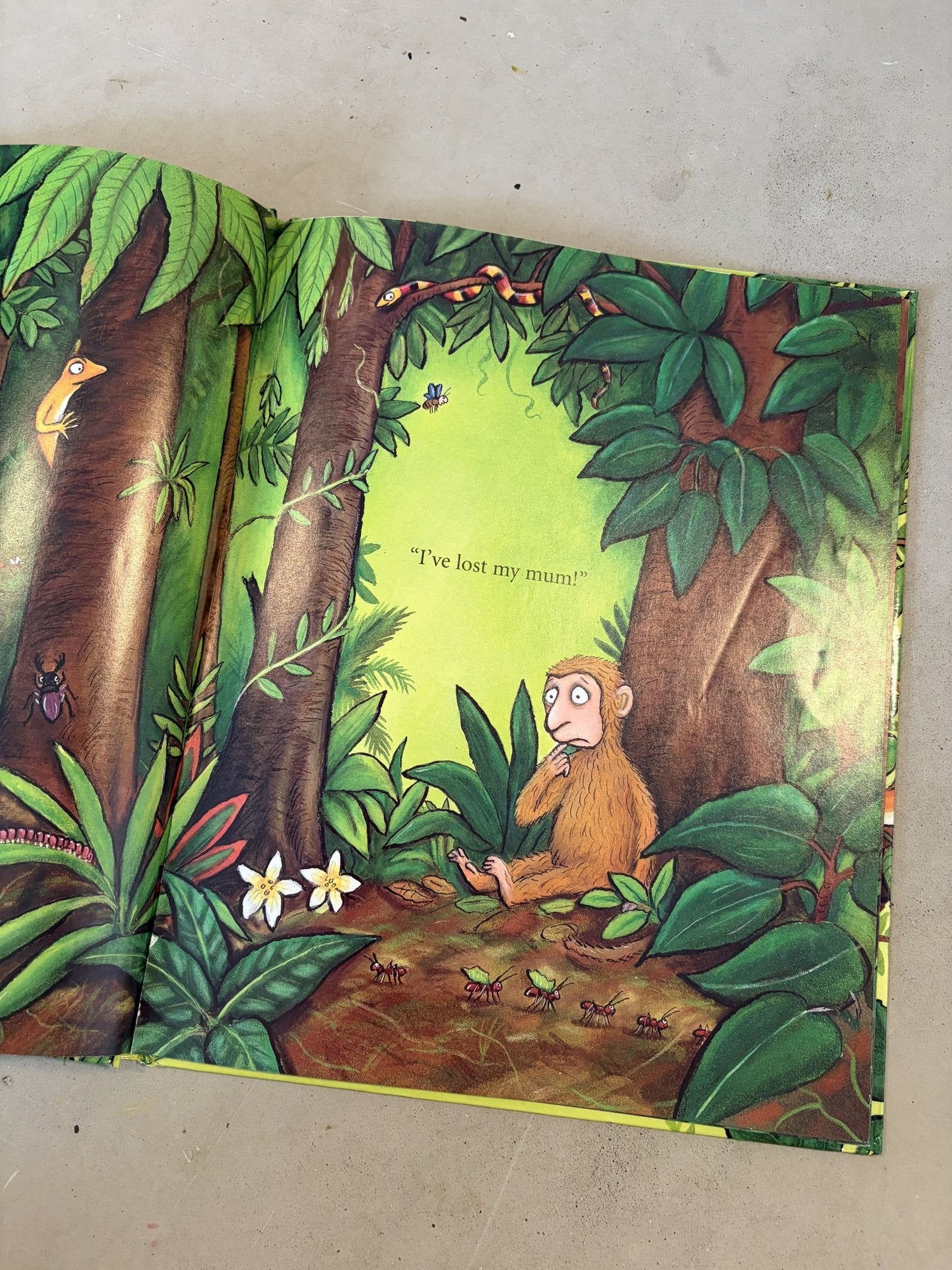 Monkey Puzzle by Julia Donaldson