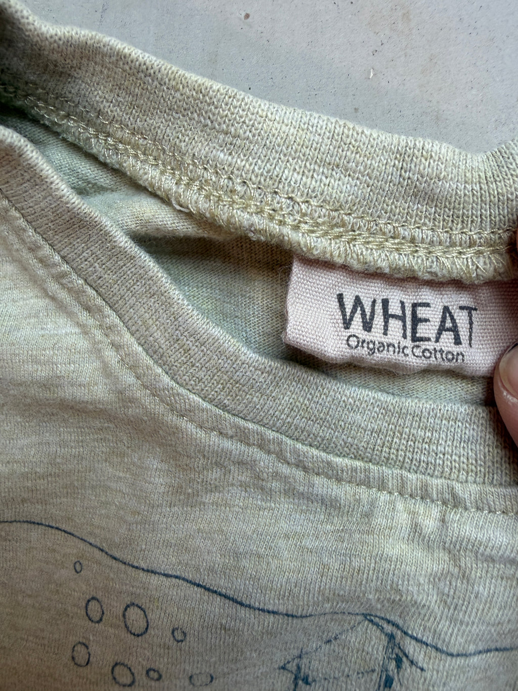 Wheat tshirt || 3T