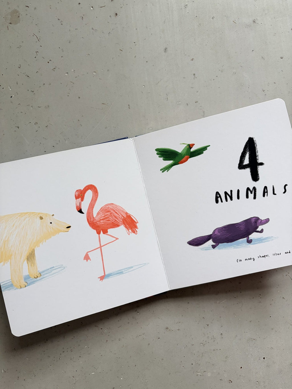 Book of Numbers by Oliver Jeffers
