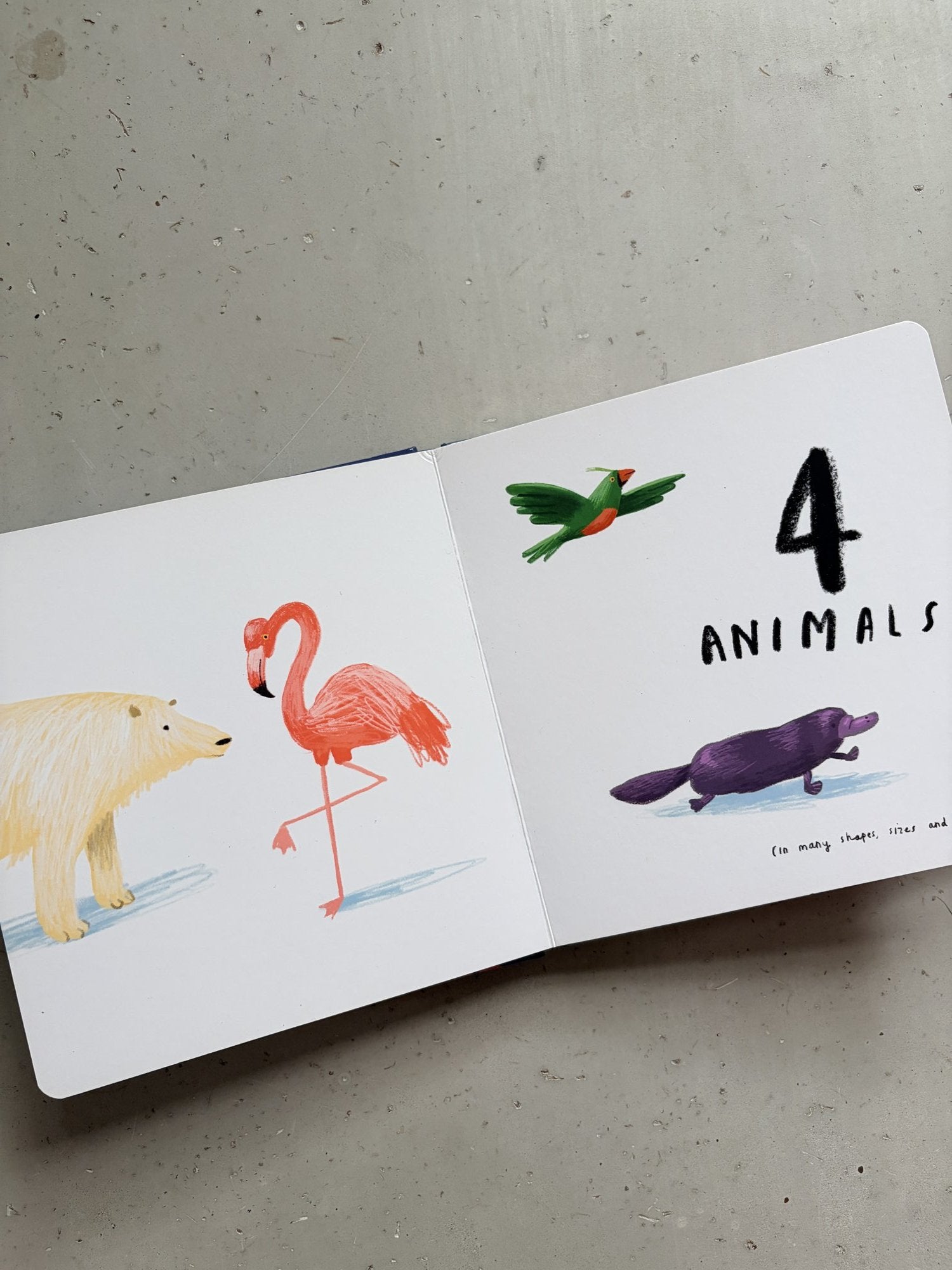 Book of Numbers by Oliver Jeffers