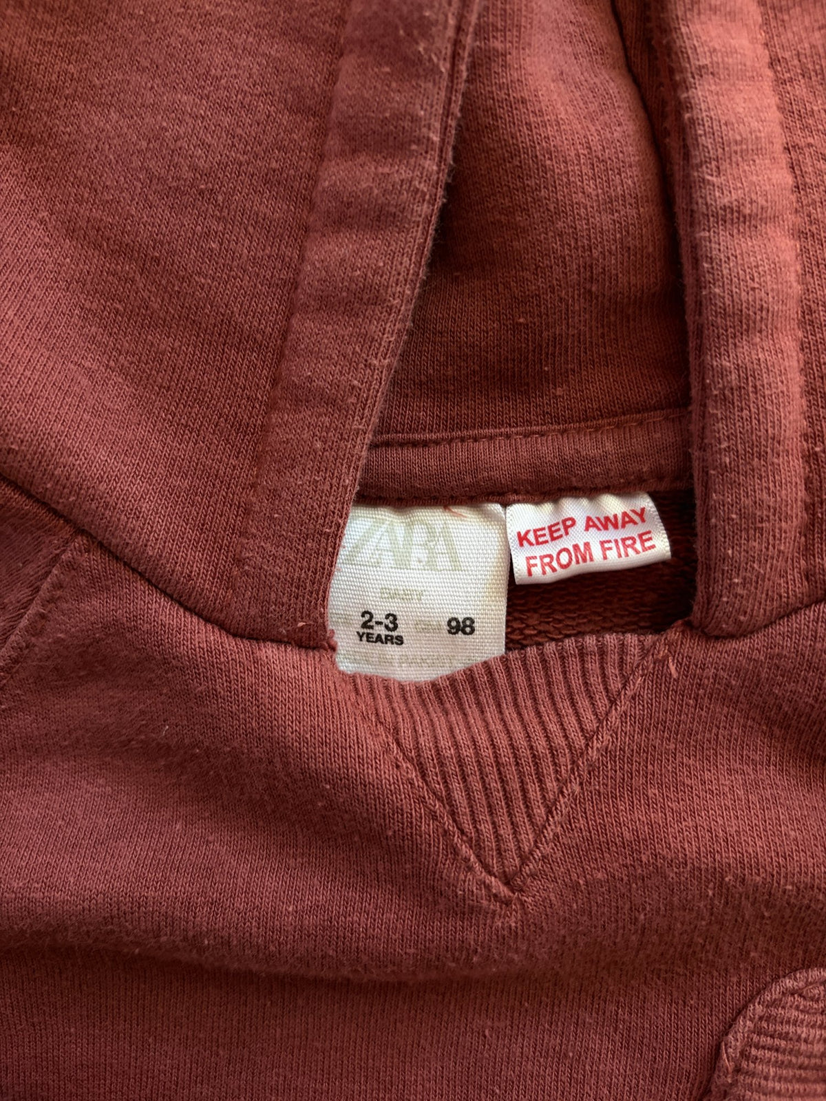 Plooofed Halloween hoodie || 2-3Y